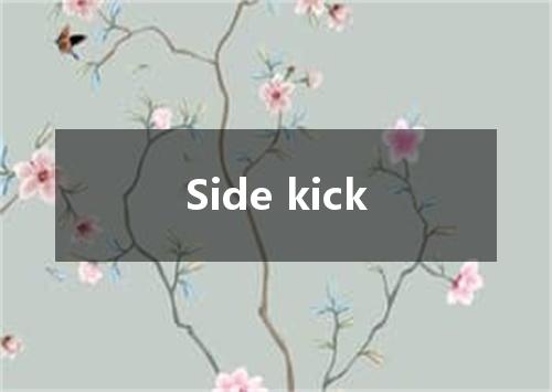 Side kick是什么意思
