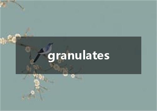 granulates是什么意思