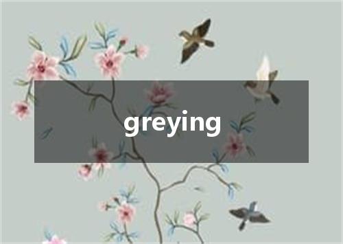 greying是什么意思
