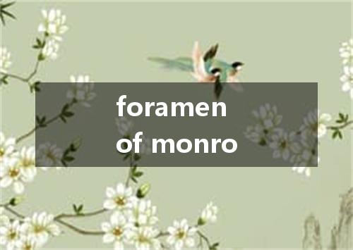 foramen of monro是什么意思