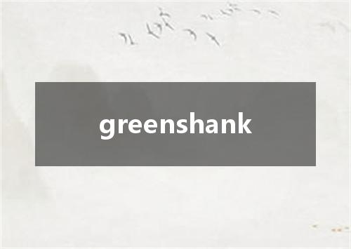 greenshank是什么意思
