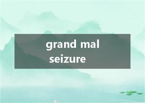 grand mal seizure是什么意思