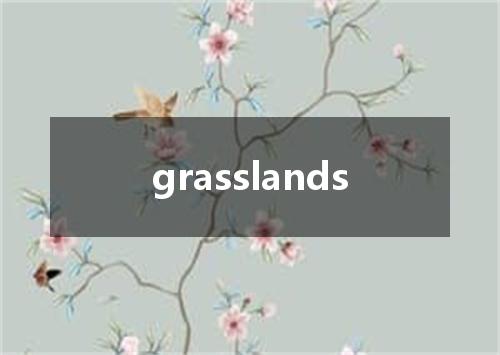grasslands是什么意思