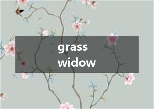 grass widow是什么意思