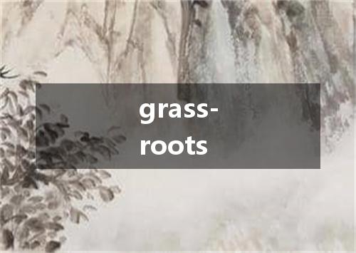 grass-roots是什么意思