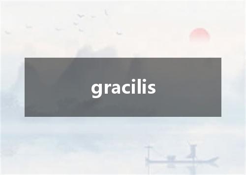 gracilis是什么意思