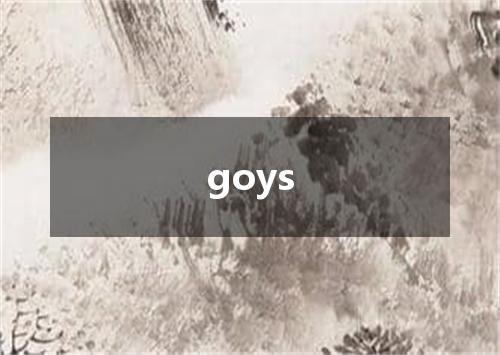 goys是什么意思