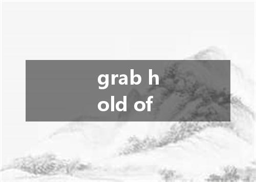 grab hold of是什么意思