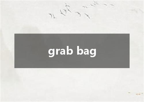grab bag是什么意思