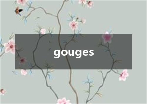 gouges是什么意思