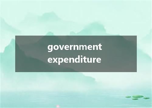 government expenditure是什么意思