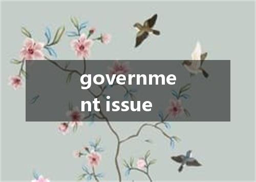 government issue是什么意思