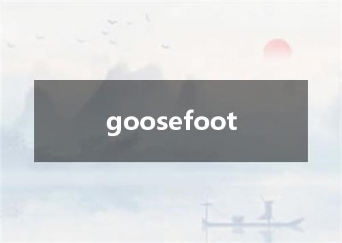 goosefoot是什么意思