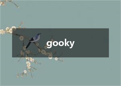 gooky是什么意思