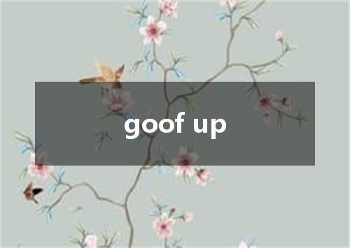 goof up是什么意思