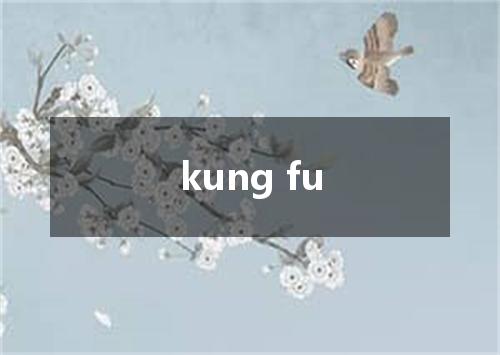 kung fu是什么意思