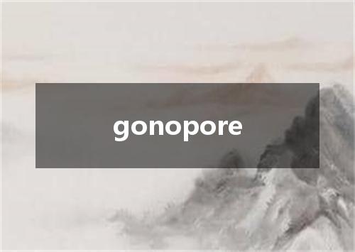 gonopore是什么意思