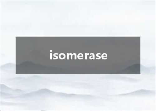 isomerase是什么意思