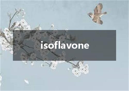 isoflavone是什么意思