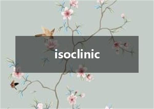 isoclinic是什么意思