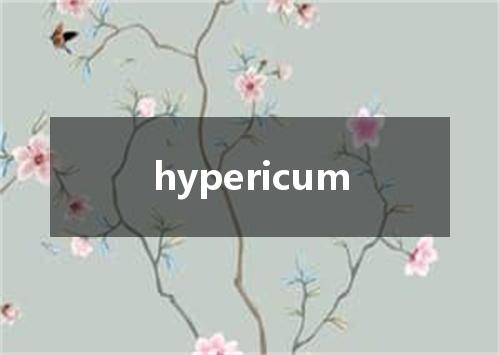 hypericum是什么意思