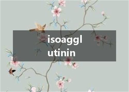 isoagglutinin是什么意思