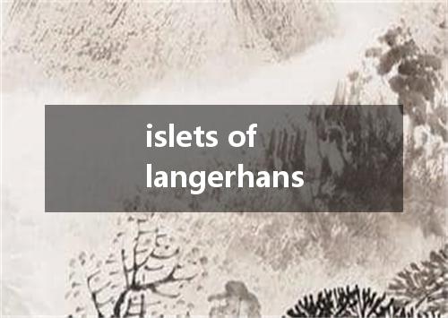 islets of langerhans是什么意思