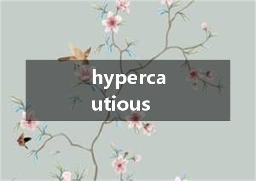hypercautious是什么意思