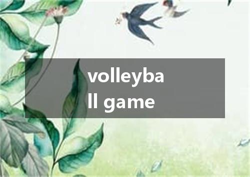 volleyball game是什么意思