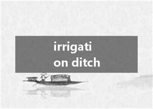 irrigation ditch是什么意思