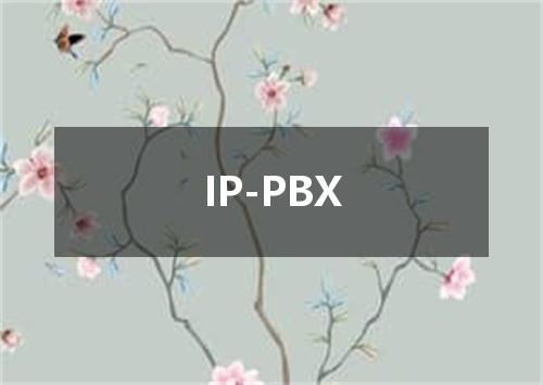 IP-PBX是什么意思