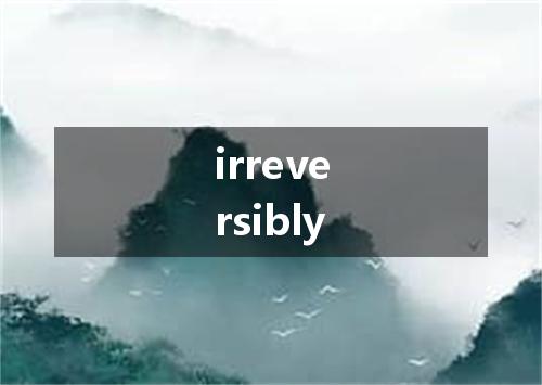 irreversibly是什么意思