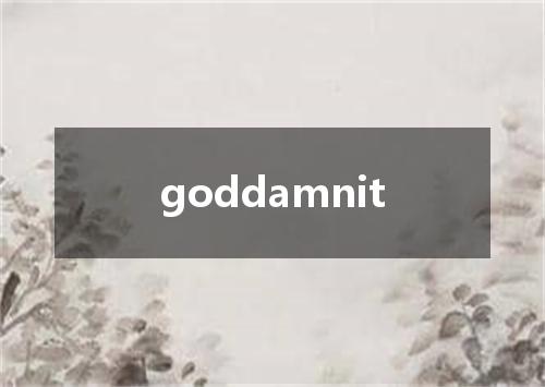 goddamnit是什么意思
