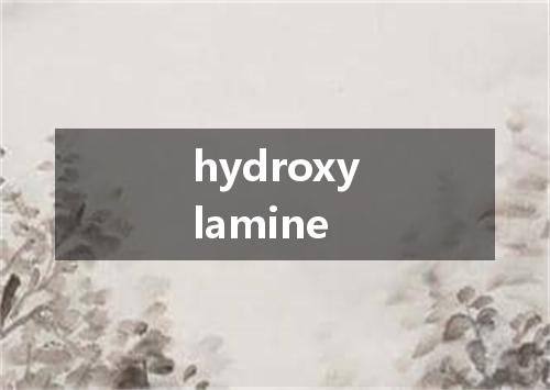 hydroxylamine是什么意思