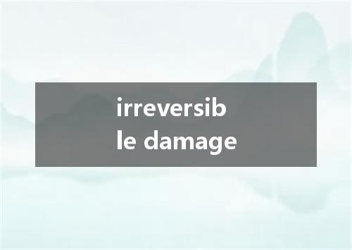 irreversible damage是什么意思