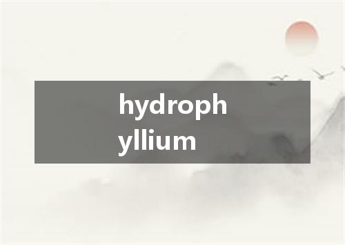 hydrophyllium是什么意思