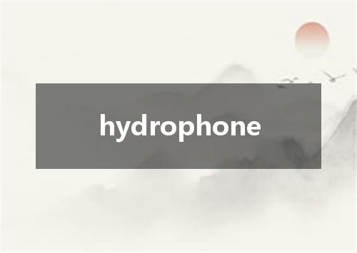 hydrophone是什么意思