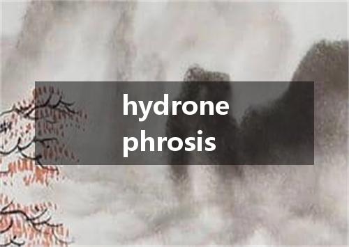 hydronephrosis是什么意思