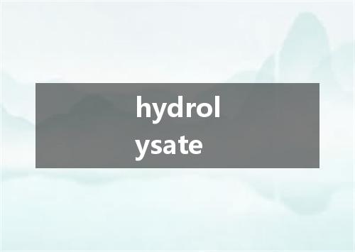 hydrolysate是什么意思