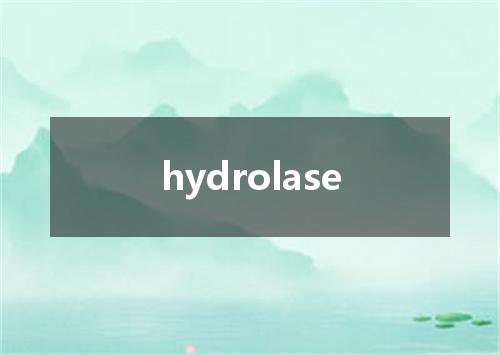hydrolase是什么意思