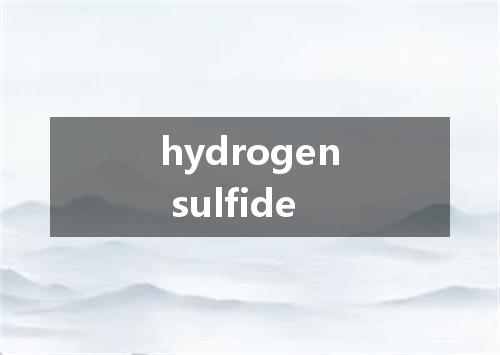 hydrogen sulfide是什么意思