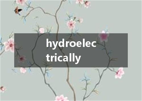 hydroelectrically是什么意思