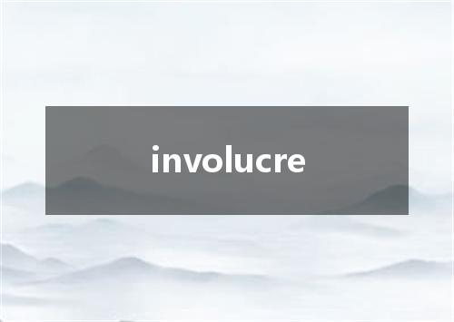 involucre是什么意思