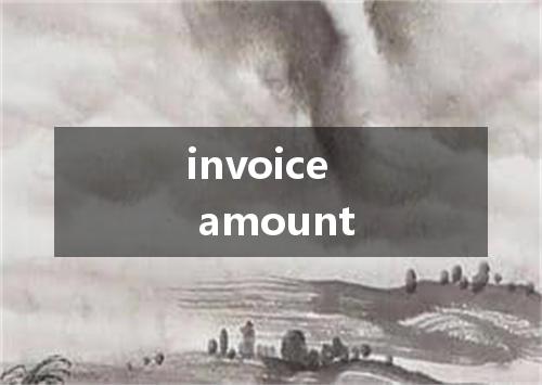 invoice amount是什么意思