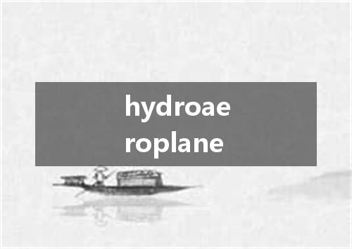 hydroaeroplane是什么意思