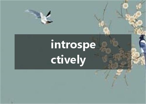 introspectively是什么意思