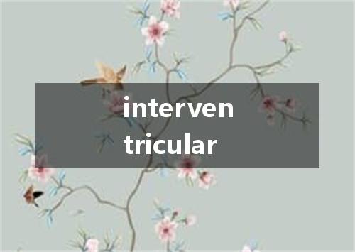 interventricular是什么意思