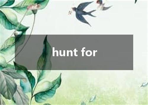 hunt for是什么意思