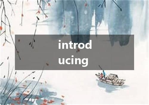 introducing是什么意思