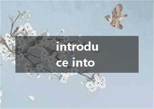 introduce into是什么意思